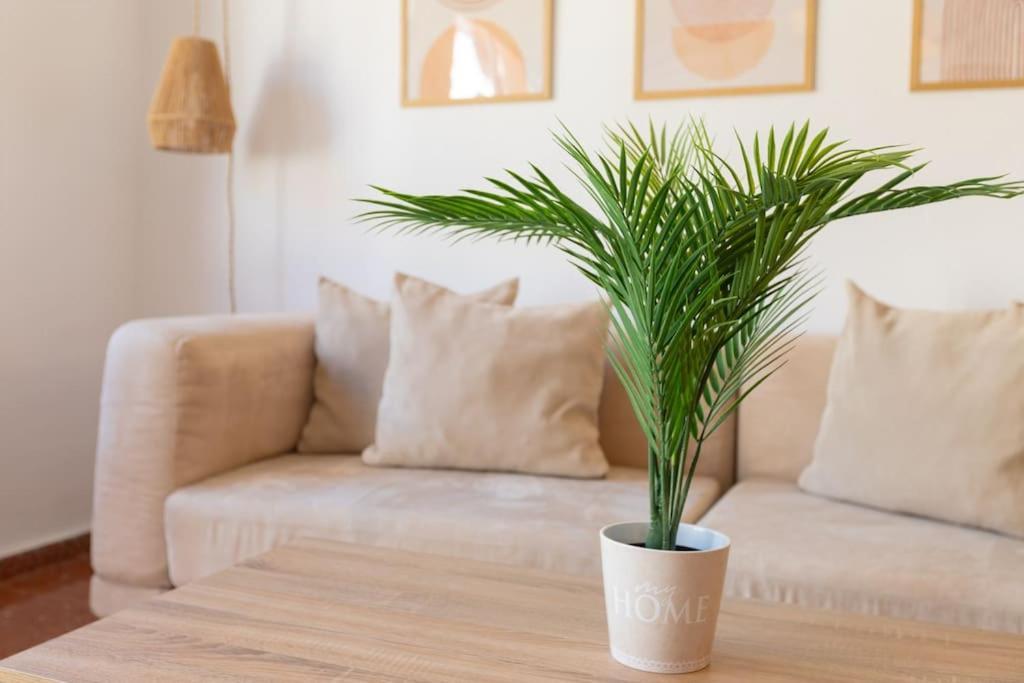 Apartamento Casa Sanchez Old Town
